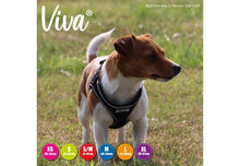 Load image into Gallery viewer, Step-in Harness