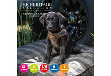 Load image into Gallery viewer, HERRITAGE STEP IN HARNESS