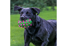 Load image into Gallery viewer, Atomic rugby ball