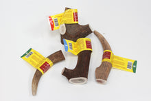 Load image into Gallery viewer, Antler