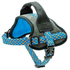 Aquatech Adventure Harness Bright