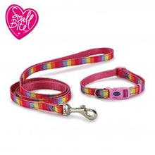 Load image into Gallery viewer, Small bite collar and lead set Rainbow/pink
