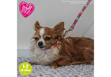 Load image into Gallery viewer, Small bite collar and lead set Rainbow/pink
