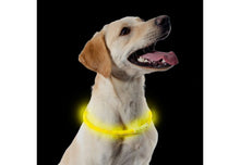 Load image into Gallery viewer, Flashing Band Collar.
