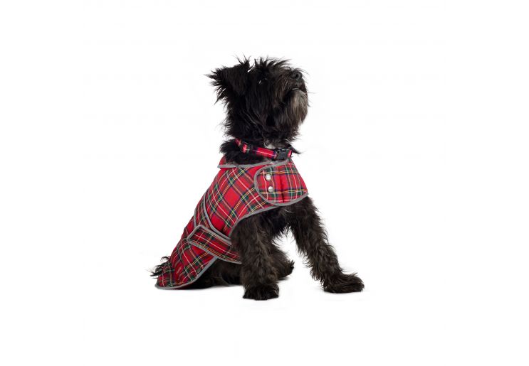 HIGHLAND TARTAN DOG COAT