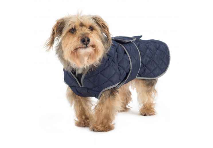 Quilted Navy Dog Coat