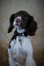 Load image into Gallery viewer, Heritage Collection Collar
