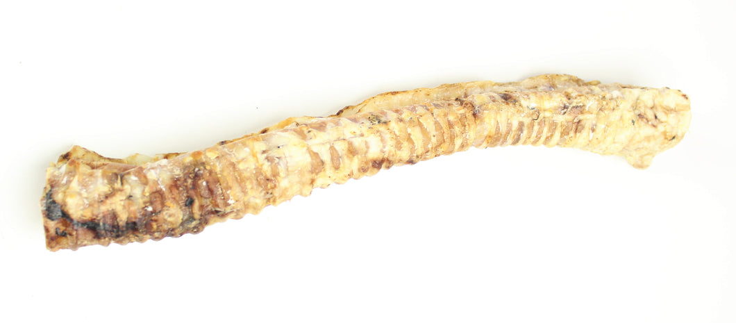 Beef Trachea